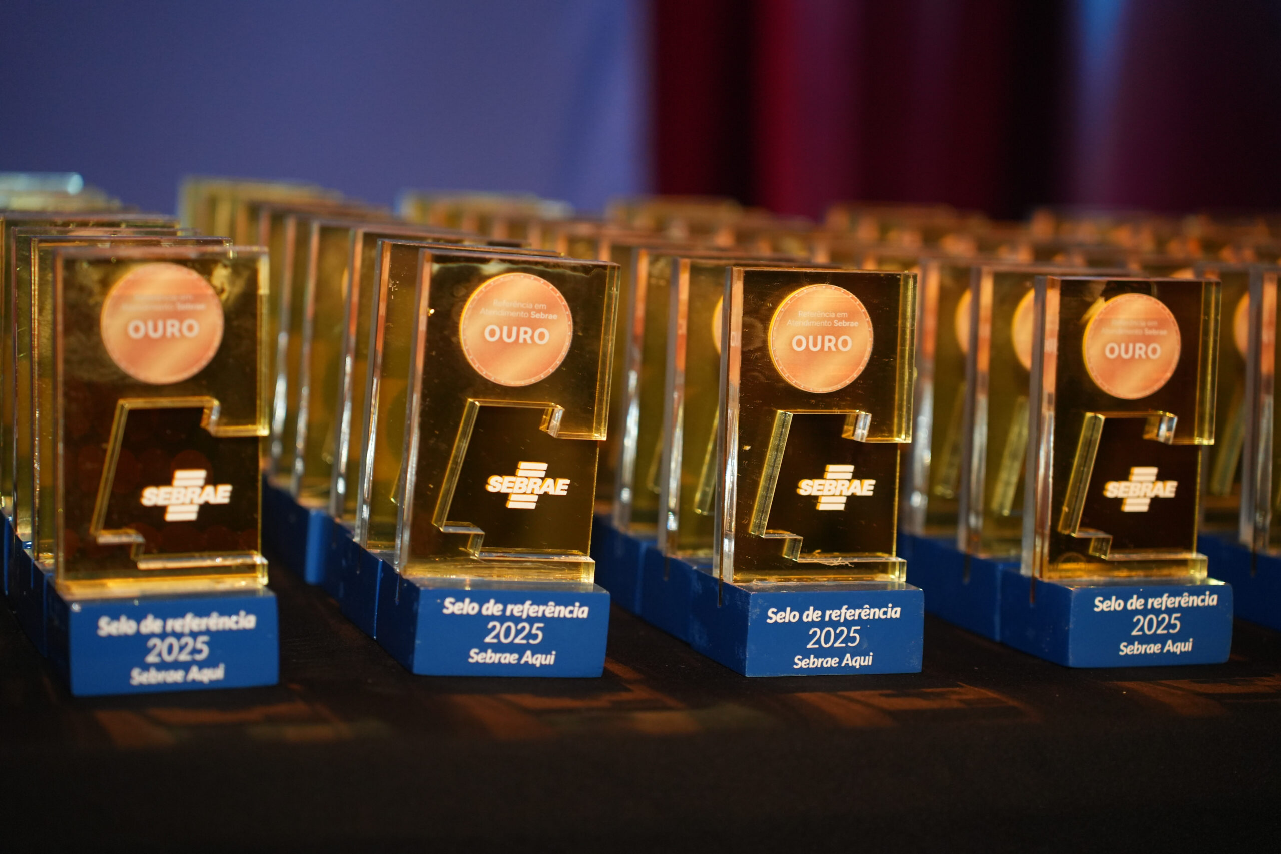 Sebrae Aqui Amparo é Ouro em Atendimento