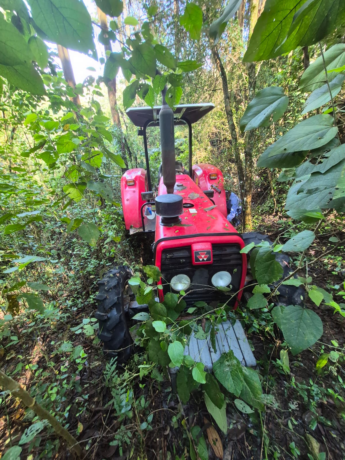 CERCO TECNOLÓGICO: GCM DE AMPARO RECUPERA COM DRONE TRATOR FURTADO E ESCONDIDO EM SÍTIO ABANDONADO