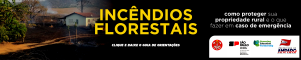 bannerincendiosflorestais